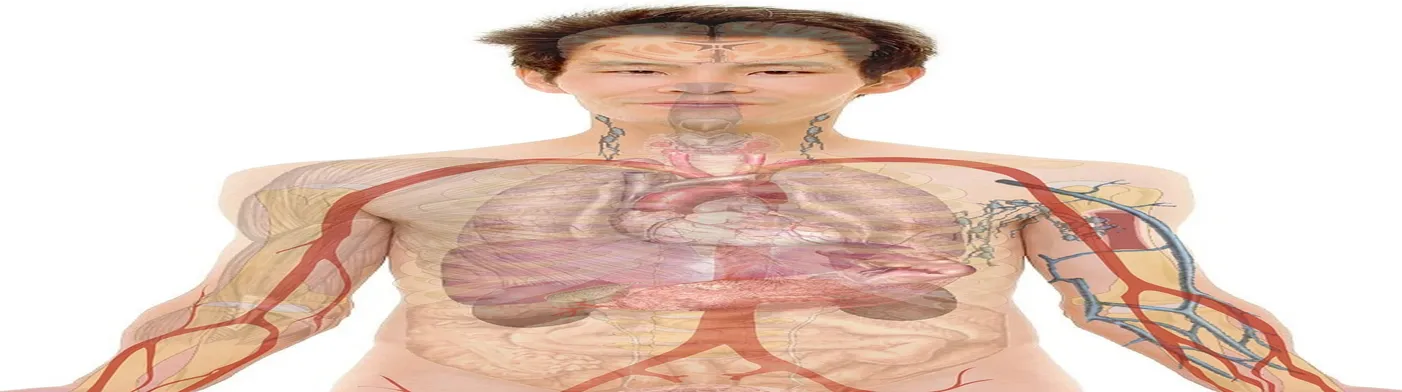 법무법인 서앤율