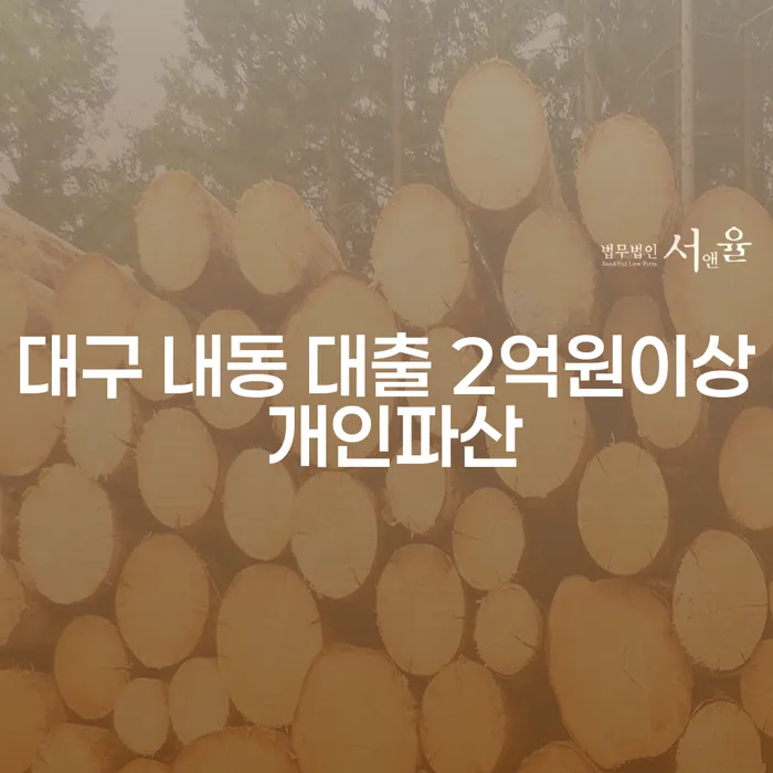 대구 내동 대출 2억원이상 개인파산, 해결책은 무엇일까요?